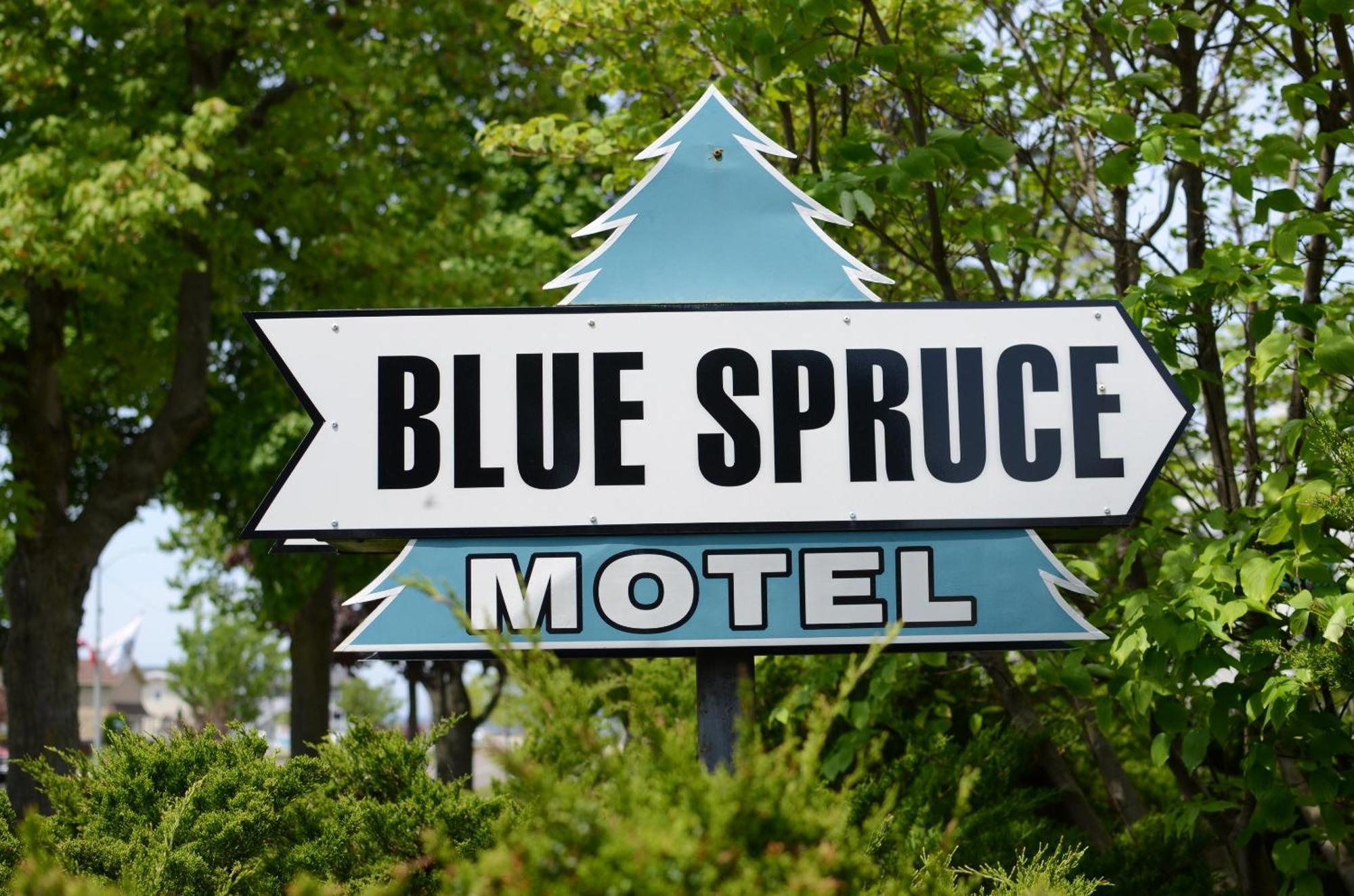 Ludington Blue Spruce Inn Bagian luar foto